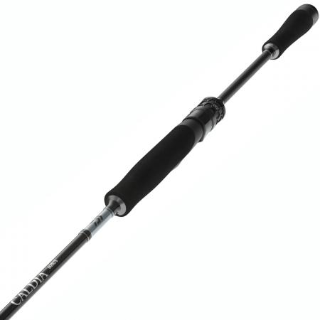 Daiwa Caldia Spin
