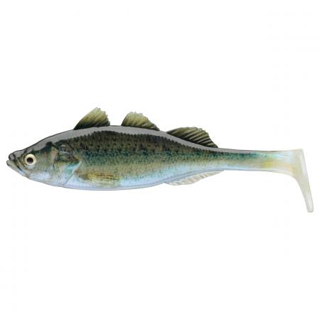  Live Perch (Baby Zander)