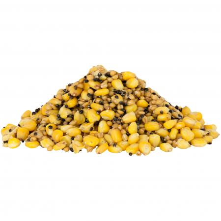  Power Series Particle Mix (Holiday)