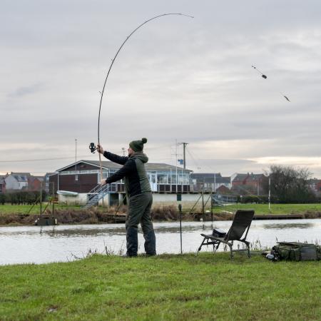  Limitless Feeder