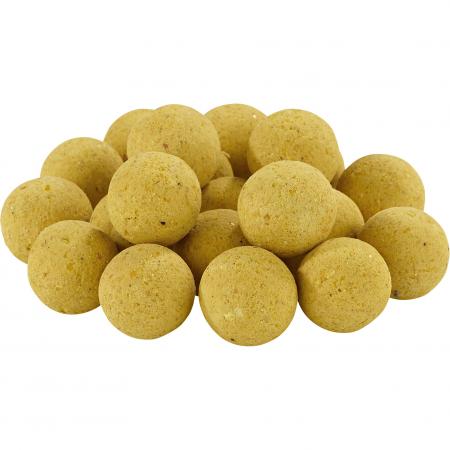  Boilies 