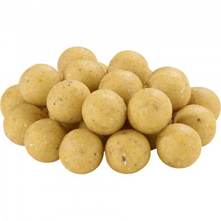 Boilies