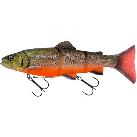  3D Line Thru Trout (Artic Char)