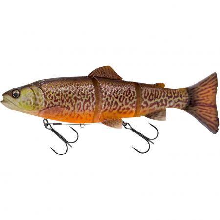  3D Line Thru Trout (Tiger Trout)