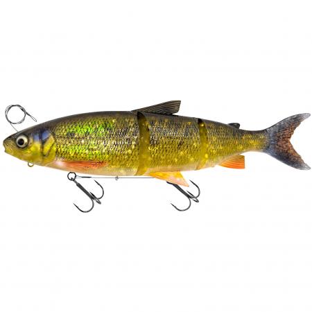  3D Line Thru Whitefish (Dirty Whitefish)