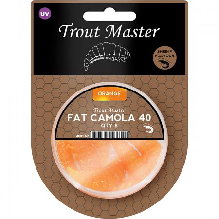  Fat Camola (Orange)