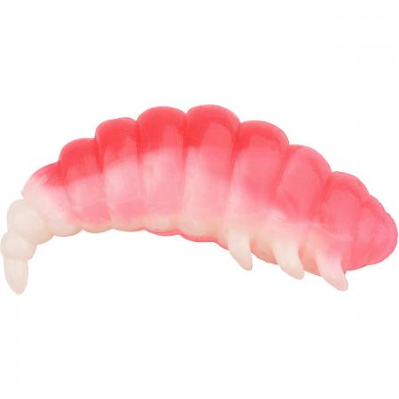  Fat Camola (Pink/White)