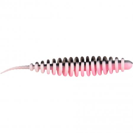  Master Worm (Black Back)