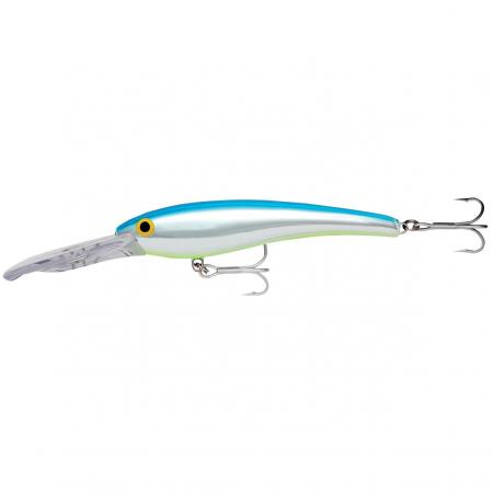  Deep Thunder® (BSC)