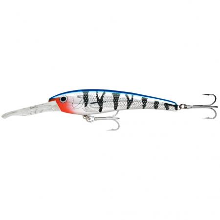  Deep Thunder® (MBT)