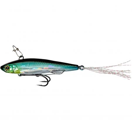  Live Darter (RT Perch)
