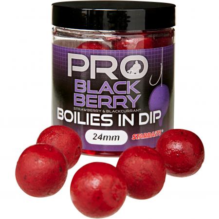  Pro Boilies in Dip (Black Berry)