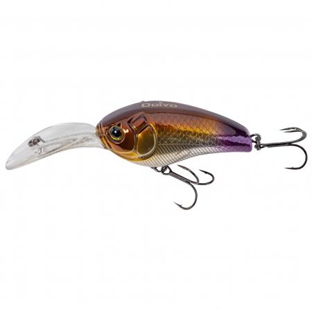  Wild Buccaner (Purple Tail)