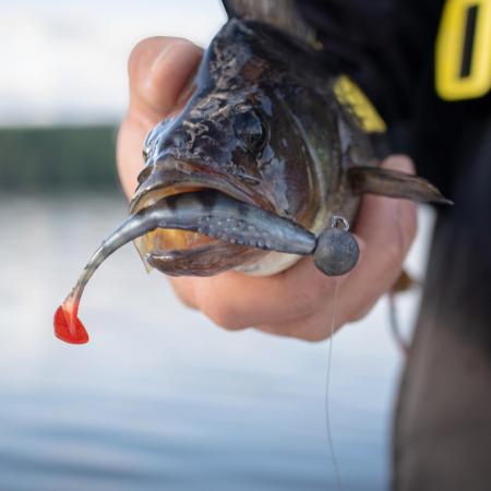 Scent Shad (Ultra Natural Perch)
