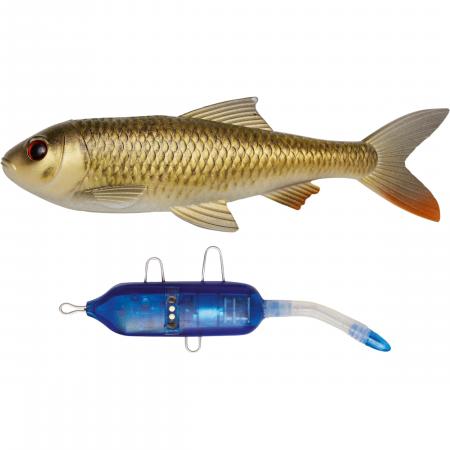 Pulz Bait Roach Kit (Crucian Carp)