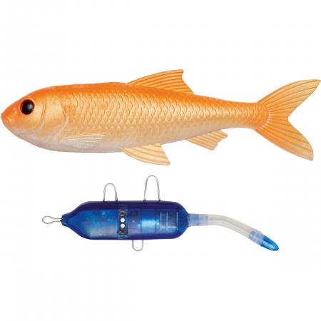  Roach Kit (Gold Fish)
