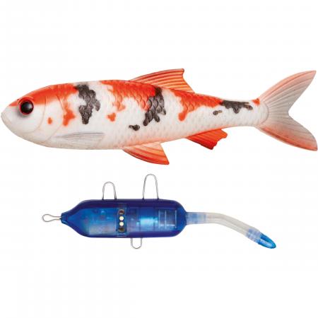  Roach Kit (Koi Carp)