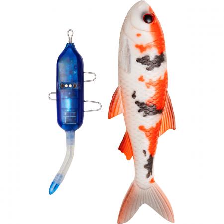 Pulz Bait Roach Kit (Koi Carp)