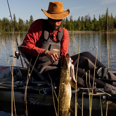 Pulz Bait Roach Kit (Natural Roach)