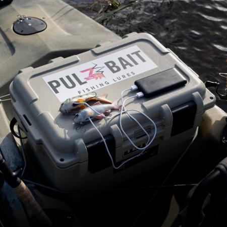Pulz Bait Roach Kit (Natural Roach)
