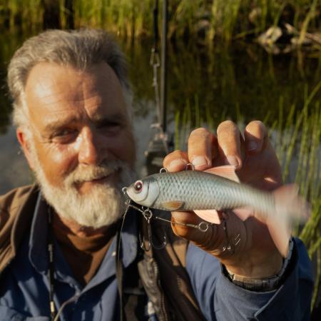 Pulz Bait Roach Kit (Natural Roach)