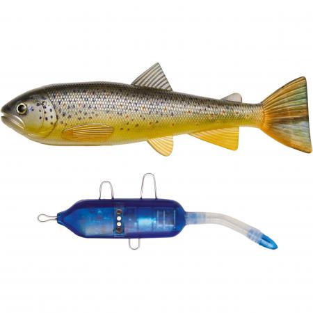  Trout Kit (Brown Trout)