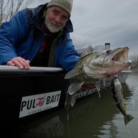  Trout Kit (Brown Trout)