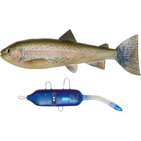 Pulz Bait Trout Kit (Rainbow Trout)