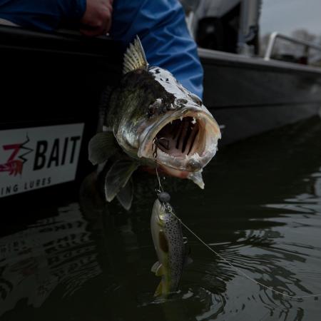 Pulz Bait Trout Kit (Rainbow Trout)