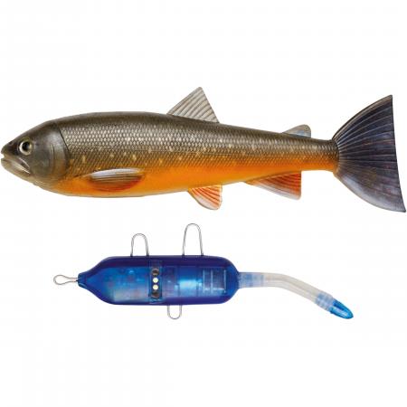  Trout Kit (Arctic Char)