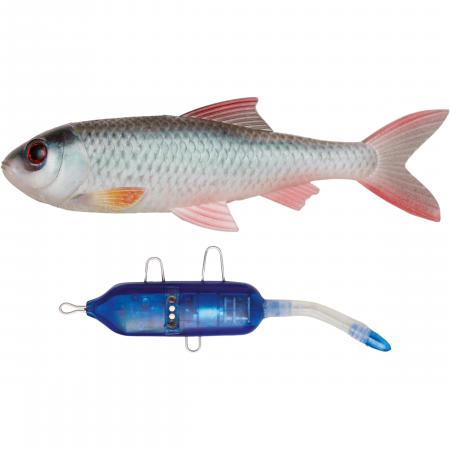  Roach Kit (Natural Roach)