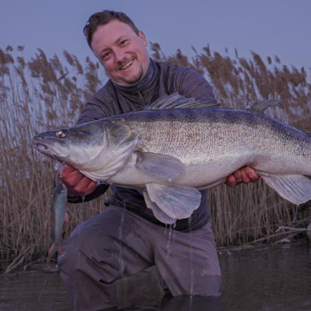 Pulz Bait Roach Skinz (Natural Roach)