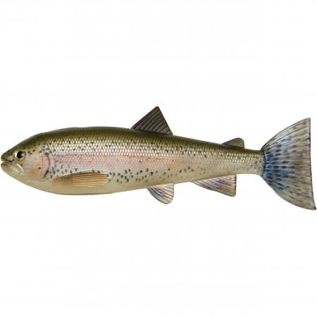  Trout Skinz (Rainbow Trout)