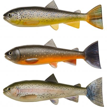  Trout Skinz Set (Brown/Rainbow/Char)