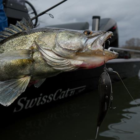  Jigging Rigz