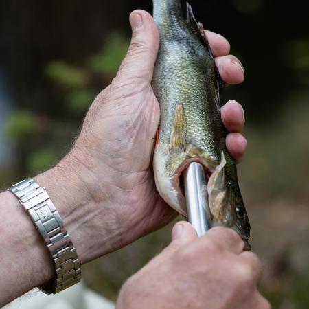 Pulz Bait Gutter Tool