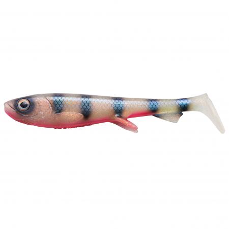  Shad (Striped Ghost)