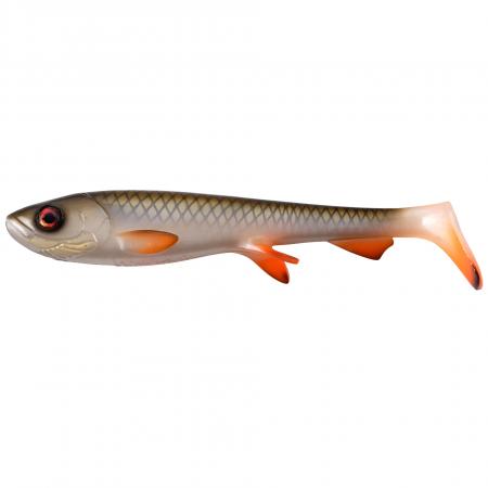  Shad (Real Roach)