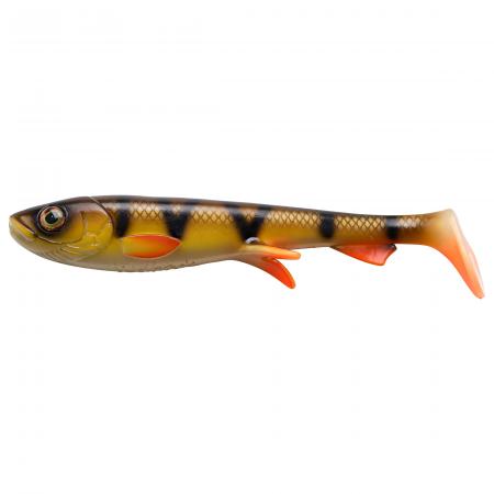  Shad (Perch)