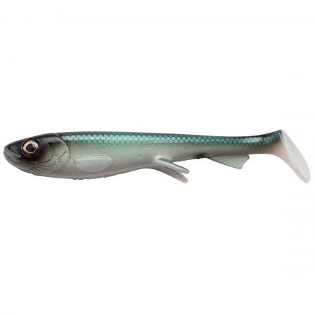  Shad (Baltic Herring)