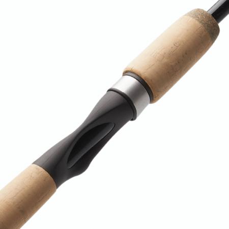  Eciton