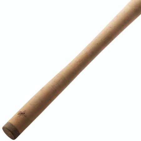  Eciton
