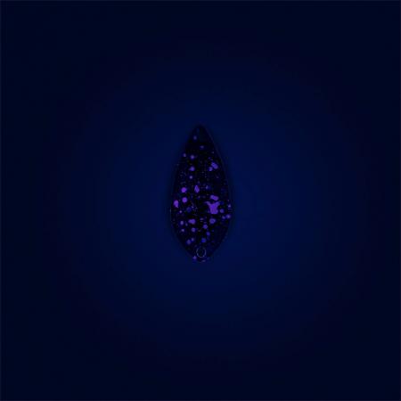  Aro Spoon 2,0 g - Rippa³ | Neon Ghost