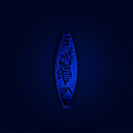  Balrog Spoon 3,5 g - Twisted | True Blue (Glow)