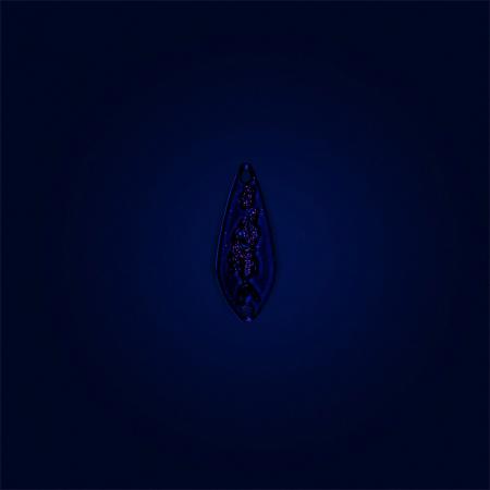 Juppy Spoon 1,2 g - Frayed Tear | Papaya Pellet (Holo)
