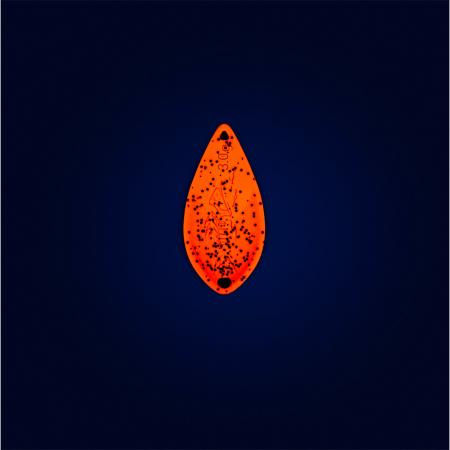 Totem Spoon 3,0 g - Trinary | Hot Apple (Holo)
