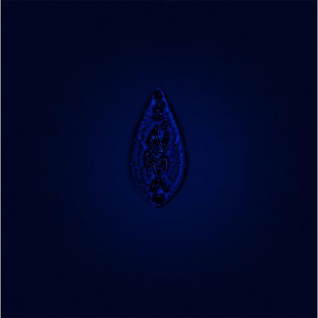  Totem Spoon 3,0 g - DRGN | York Yellow