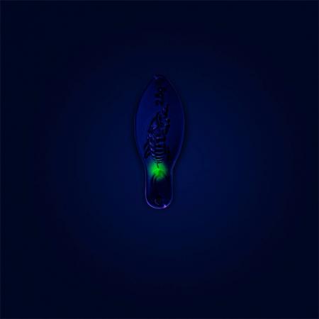 Wenom Spoon 2,5 g - Anomaly | Heatstroke