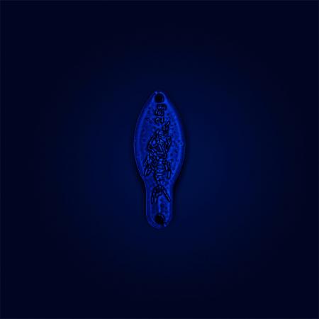 Wenom Spoon 2,5 g - DRGN | Hot Apple