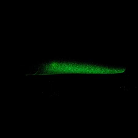 C4 Minnow - Spine | Green Pumpkin (Glow)